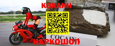 крисы Новозыбков