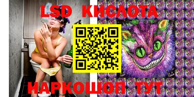 крисы Новозыбков