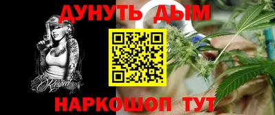 крисы Новозыбков