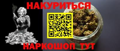 крисы Новозыбков