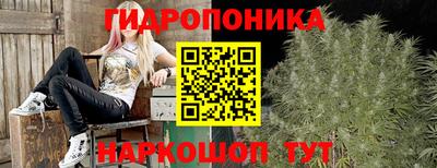 гашиш Новокубанск