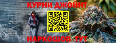 крисы Новозыбков