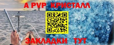 крисы Новозыбков