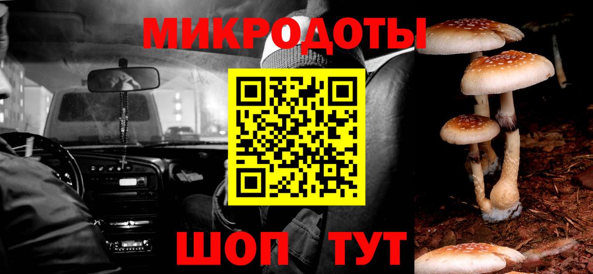 Псилоцибиновые грибы Psilocybine cubensis  Вход с VPN  Псилоцибиновые грибы Magic Shrooms  Ачхой-Мартан 